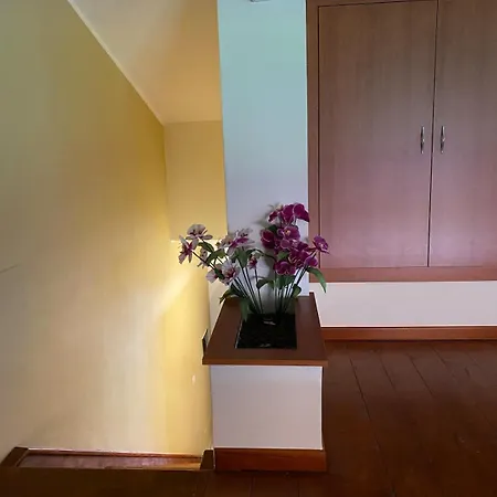 Carnovale Wifi Piscina Divertimento Sul Mare Di * Pizzo (Calabria)