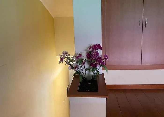 Carnovale Wifi Piscina Divertimento Sul Mare Di * Pizzo (Calabria)